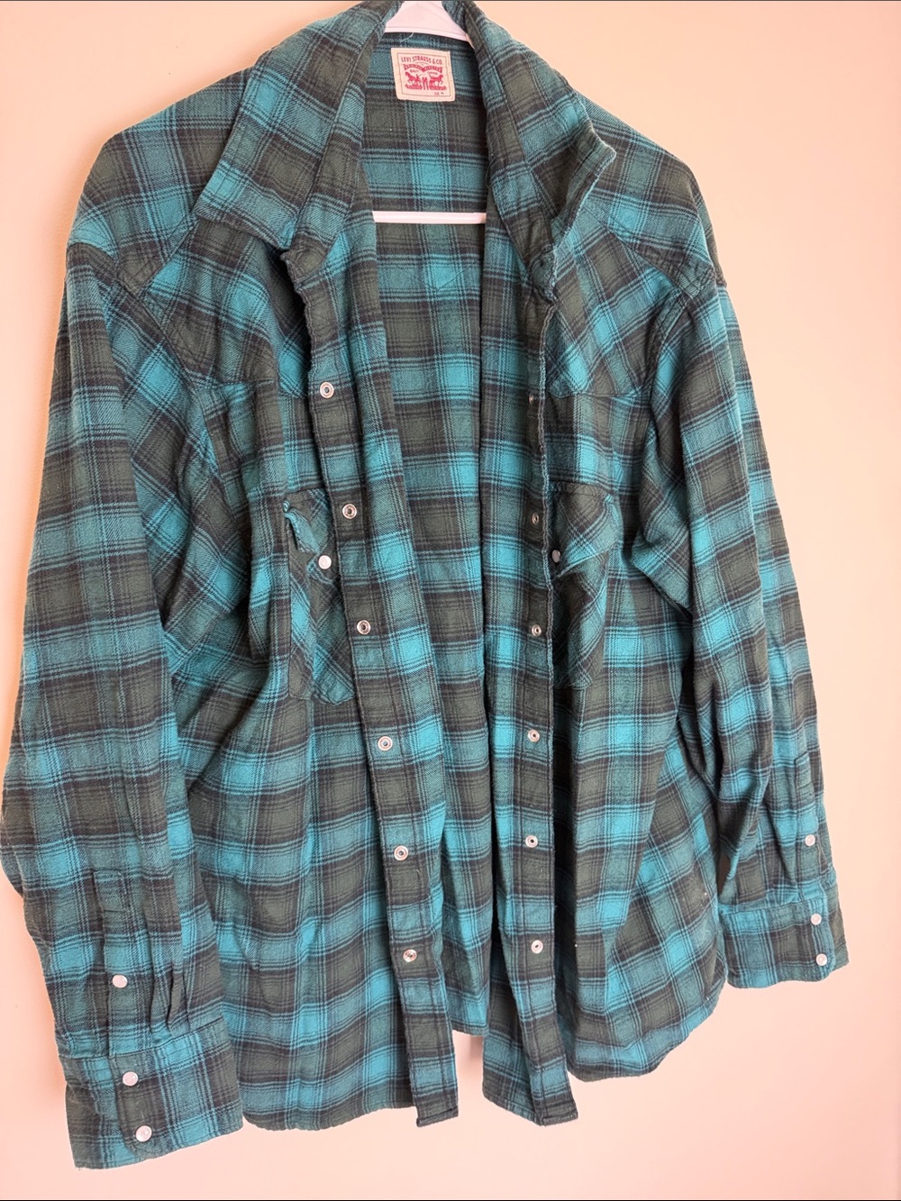Levi's Men's Teal and Black Plaid Button-Down Shirt